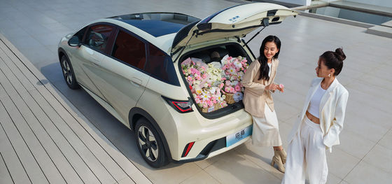 ১.৫ লিটার ডিসপ্লেসমেন্ট বিওয়াইডি সিল০৬ ডিএম-আই ১২০ কিলোমিটার লিডিং সংস্করণ