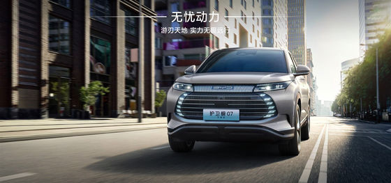 বিওয়াইডি ফ্রিগেট ০৭ ১০০ কিলোমিটার এলিট টাইপ