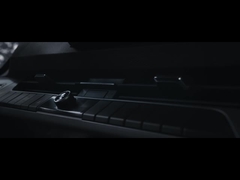 বিওয়াইডি-পিনঝি