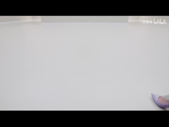 2025 420 কিমি ডলফিন অ্যাক্টিভ সংস্করণ ইভি