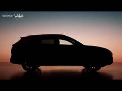 গান ডিএমআই ২০২৫